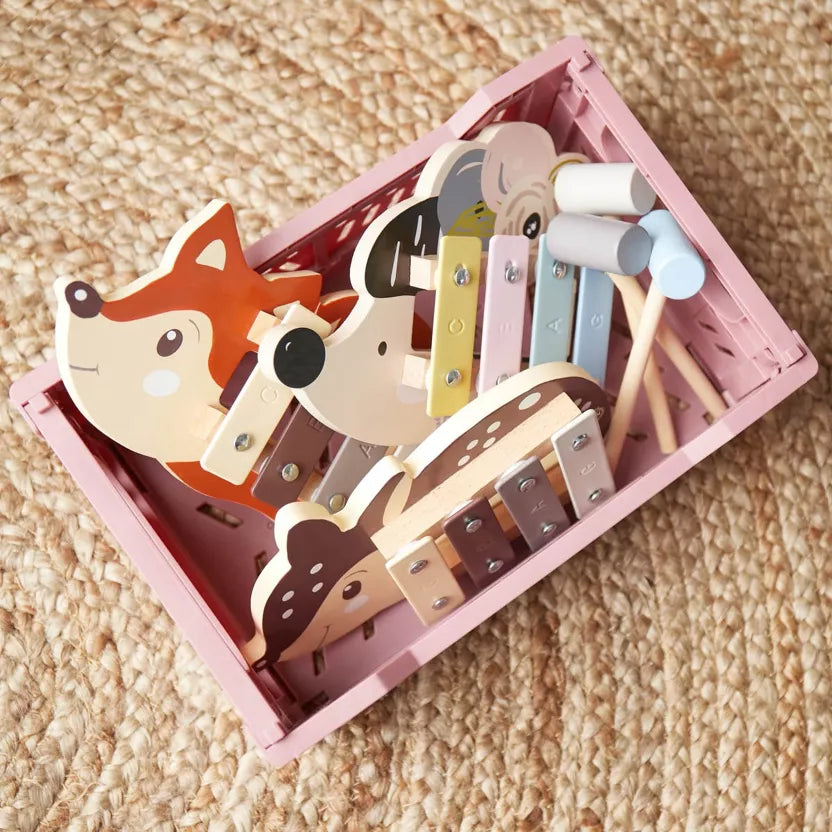 Bieco Mini ksilofonas - ežiukas