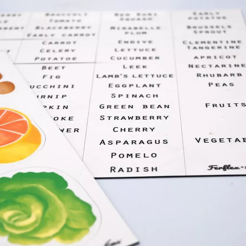 Magnetic game - fruits and vegetables